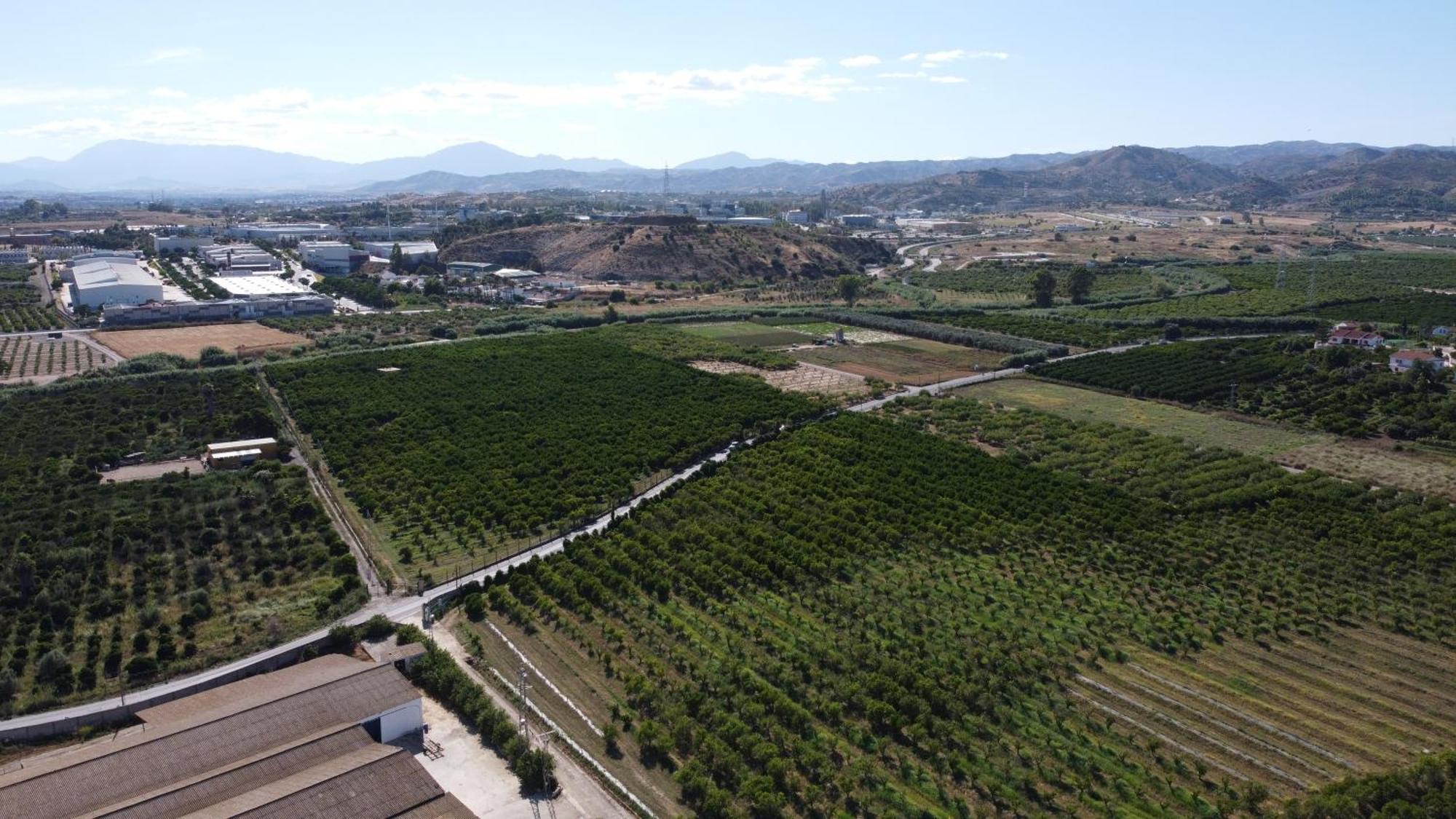 Villa Complejo Rural Lo Arrabal Málaga Esterno foto