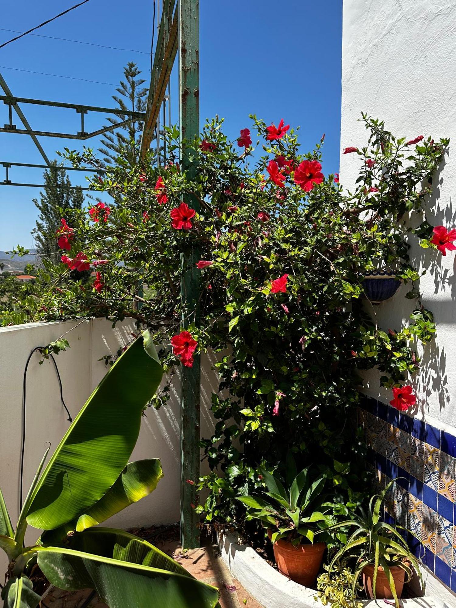 Villa Complejo Rural Lo Arrabal Málaga Esterno foto